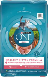 Purina One Healthy Kitten Formula