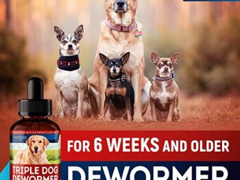 Best Cat dewormer