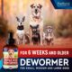 Best Cat dewormer